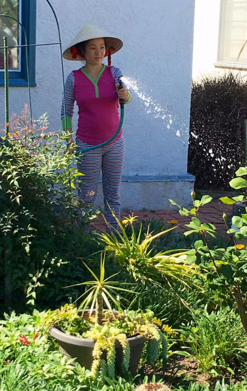 Thúy Nga rất thích tự tay chăm sóc cho những khóm hoa trong vườn nhà. Đây là công việc giúp cô bớt căng thẳng sau những ngày bận rộn.