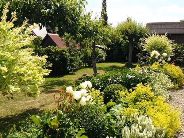 Vườn hoa nhà ca sĩ Đoan Trang luôn rực rỡ, xinh tươi bởi sự hiện diện của nhiều loại cây hoa xứ lạnh.