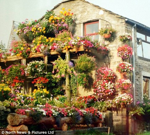 Bà Anne (65 tuổi) và chồng, ông Robin Strange, ở phía Bắc Yorkshire, Anh đã dành hết buổi tối và những ngày cuối tuần trong gần ba thập kỷ qua để trồng hoa làm đẹp cho ngôi nhà của họ.