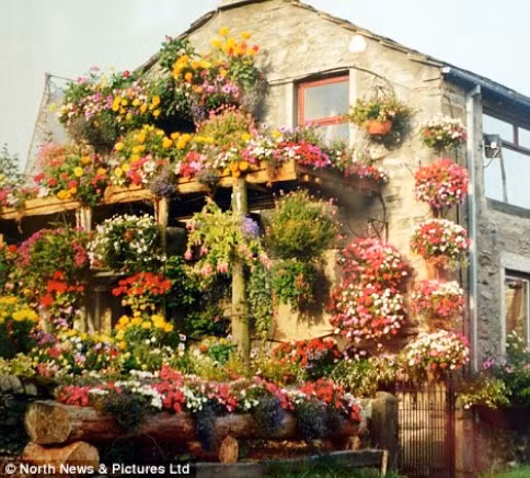Bà Anne (65 tuổi) và chồng, ông Robin Strange, ở phía Bắc Yorkshire, Anh đã dành hết buổi tối và những ngày cuối tuần trong gần ba thập kỷ qua để trồng hoa làm đẹp cho ngôi nhà của họ.