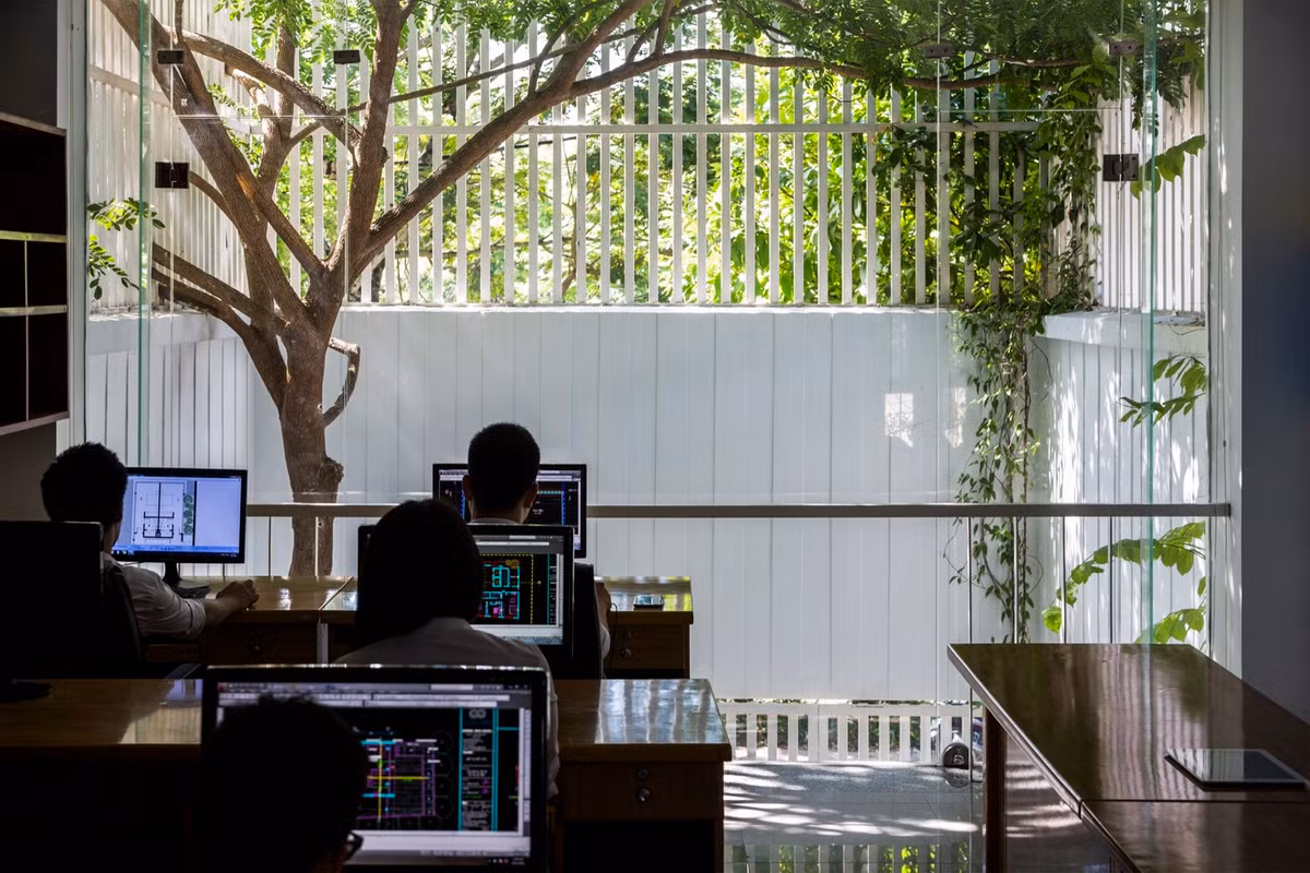 Các kiến trúc sư đã biến tòa nhà này thành một văn phòng làm việc thân thiện và hài hòa, có một mối quan hệ cộng sinh với môi trường xung quanh.