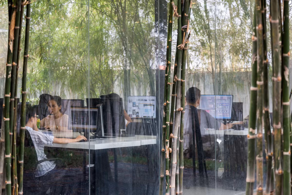 Các khóm tre tạo bóng mát cho khu văn phòng.