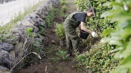 Hàng ngày, Lee Hyori vẫn tự tay chăm sóc cho vườn cây, nhà cửa và bầy thú cưng.