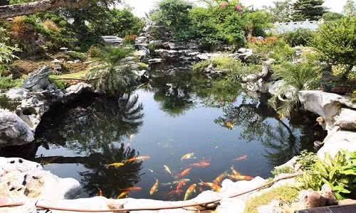 Trên khu đất rộng 25.000 m2, toàn bộ không gian sống của ca sĩ và gia đình đều tràn ngập cây xanh, những tiểu cảnh được thiết kế tự nhiên và vô cùng đẹp mắt.