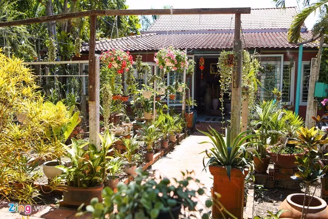 Ngôi nhà trồng rất nhiều cây cảnh, phong lan và các loại dây leo ở góc sân sau.
