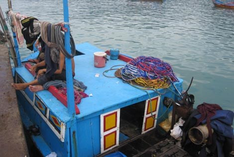 Tại Nha Trang - thủ phủ của xứ trầm hương (Khánh Hòa) còn có những đội quân hùng hậu chuyên hành nghề săn đỉa biển. Các bậc cao niên ở đây cho biết “đỉa biển” là sản vật quý mà đất trời ban tặng cho người dân địa phương bởi không chỉ có giá trị cao về kinh tế, loài này còn có giá trị về dinh dưỡng. Đỉa biển thực chất là loài đồn đột hay còn gọi hải sâm.