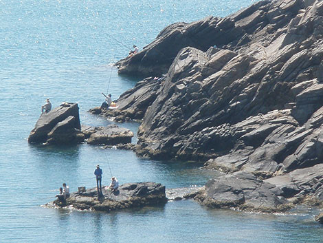 Ông Bảy, người chuyên câu chình biển bán cho các nhà hàng đặc sản chép miệng ví von rằng, trên rừng, loài trăn khủng khiếp bao nhiêu thì dưới đáy biển, trong các ghềnh gộp san hô, loài chình biển cũng khủng khiếp như vậy.