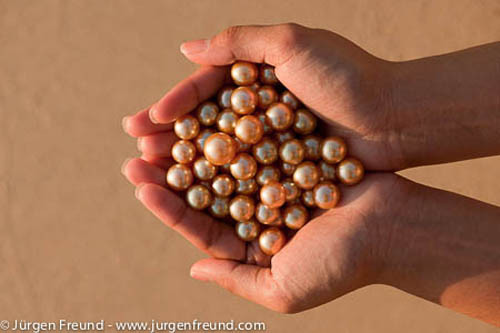 Hiện tại, chỉ có khu vực biển phía đông của Philippines mới có thể tìm thấy loại ngọc trai vàng. Nơi đây sở hữu một lượng nước sạch khổng lồ mà thiên nhiên ban tặng.