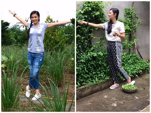 Sau những sóng gió liên tiếp trong chuyện tình cảm, Việt Trinh đã lui vào ở ẩn. Cô sinh con trai và chuyển về sống ở Bình Dương.