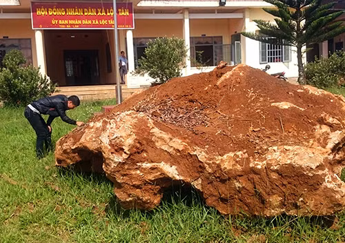 UBND xã Lộc Tân, huyện Bảo Lâm đang tạm giữ tảng đá nặng 20 tấn nghi khoáng sản quý do ông Phạm Văn Chính mua và đào lên tại vườn cà phê. Giới chơi đá quý tại Lâm Đồng nhận định, tảng đá trên là caxedon, giá trị hàng tỷ đồng.