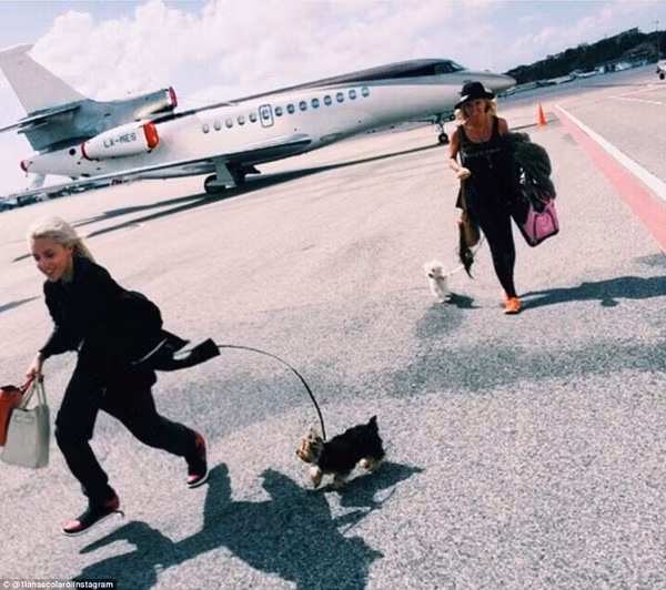 Chuyến đi của họ thường có những con thú cưng làm bạn đồng hành.