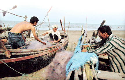 Rắn biển trở thành món hàng hiếm khiến ngư dân ngày đêm dong thuyền ra khơi săn lùng, bất chấp công việc đó tiềm ẩn nhiều rủi ro, có khi phải đánh đổi bằng cả mạng sống…