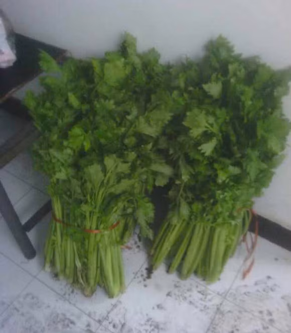 Hai mớ rau: Một công ty của Trung Quốc thậm chí chỉ thưởng Tết bằng hai mới rau cần tây cho mỗi nhân viên. Một số cư dân mạng còn đùa rằng, vì hai mớ cần tây, nhân viên còn phải mua thêm thịt để nấu.