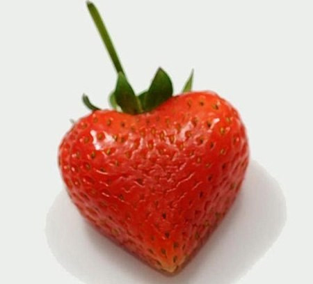 Những quả dâu tây hình trái tim được coi là món quà các bạn gái rất thích.