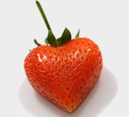Những quả dâu tây hình trái tim được coi là món quà các bạn gái rất thích.