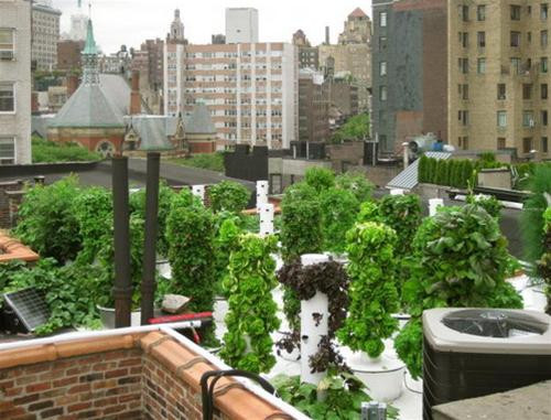 Bell Book and Candle là một nhà hàng mới mở vào năm 2010, 60% rau xanh sản xuất trên khu vườn sân thượng cung cấp cho bếp của nhà hàng với thực đơn các món ăn cổ điển của dân Mỹ mỗi ngày.