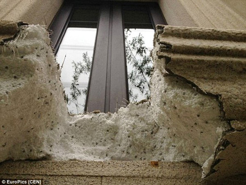 Nếu bằng mắt thường, tất cả đều rất đẹp hài hòa với xung quanh. Tuy nhiên chỉ khi bóc lớp vỏ của gờ tường bên ngoài mới phát hiện mảng xốp bên trong.