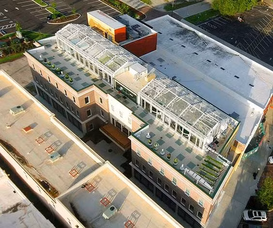 Được xây dựng trên nóc của một tòa nhà thương mại cao tầng rộng khoảng 1.000m2, nông trại thủy canh Green Sky Growers có tất cả 5 bể cá, chứa hàng chục nghìn con cá, chủ yếu là cá rô phi.