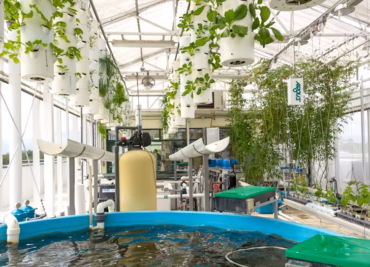 Đến trưa, khi ánh nắng trở nên gay gắt hơn, phần mềm tự động mở hệ thống bóng râm phủ mái nhà kính.