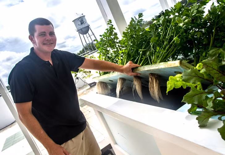 Thành phẩm rau, cá từ trang trại này sau khi thu hoạch được chuyển xuống nhà hàng thuộc tầng dưới của tòa nhà qua đường thang máy. Chưa bao giờ con đường từ nông trang tới thị trường tiêu thụ lại gần đến thế: chỉ mất 1 phút di chuyển bằng thang máy.