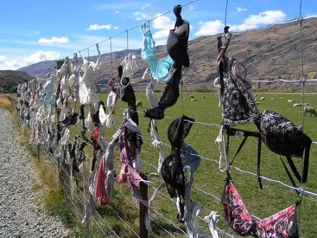 Tường rào nội y.