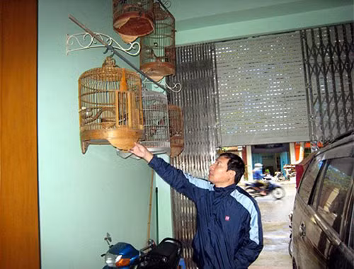 Quang Thắng có hai thú chơi khó bỏ là chơi chim và sưu tầm rượu. Anh treo rất nhiều lồng chim ở phía trước nhà.