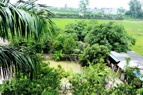 Nghệ sĩ Giang Còi, tên thật là Lê Hồng Giang, sở hữu căn nhà vườn rộng tới 10.000 m2 ở ngoại thành Hà Nội.