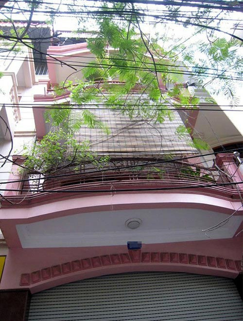 Danh hài Quang Thắng: Ngôi nhà khang trang của danh hài Quang Thắng ở thành phố Hải Phòng. Nam diễn viên từng chia sẻ, anh cũng muốn định cư tại Hà Nội để khỏi phải vất vả đi về giữa hai thành phố nhưng chưa có đủ tiền để mua nhà.