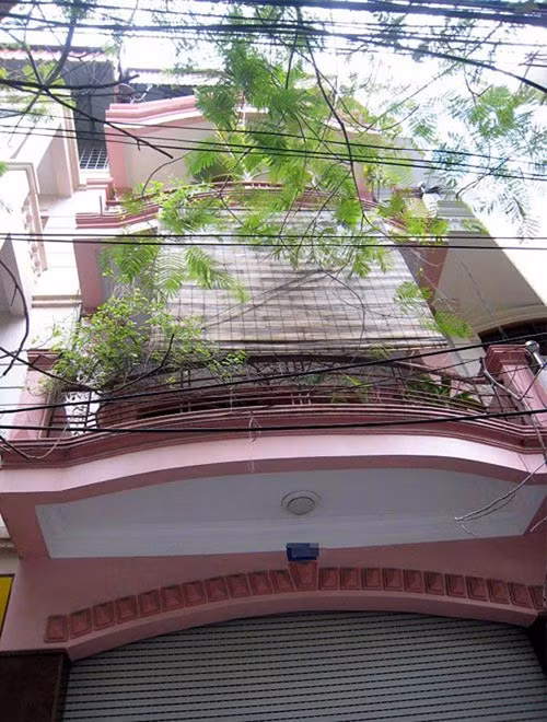 Danh hài Quang Thắng: Ngôi nhà khang trang của danh hài Quang Thắng ở thành phố Hải Phòng. Nam diễn viên từng chia sẻ, anh cũng muốn định cư tại Hà Nội để khỏi phải vất vả đi về giữa hai thành phố nhưng chưa có đủ tiền để mua nhà.