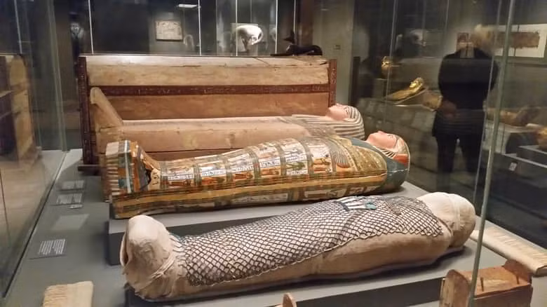 10. Bảo tàng Mỹ thuật: Nằm ở Boston, Massachusetts (Mỹ), Bảo tàng Mỹ thuật sở hữu một bộ sưu tập tranh nghệ thuật ấn tượng và đa dạng. Bước vào bảo tàng, bạn có thể ngắm nhìn các các đồ tạo tác Ai Cập, những bức tranh ấn tượng, thư pháp Trung Quốc và đồ gốm Nhật Bản. Đây là một trong những bảo tàng nghệ thuật được ghé thăm nhiều nhất trên thế giới.