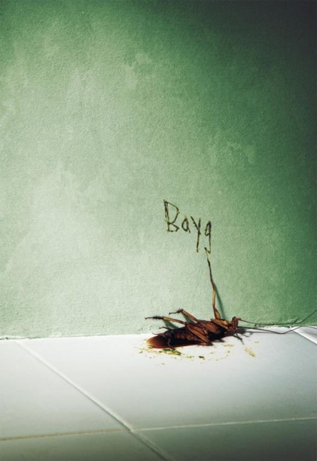 Một quảng cáo bá đạo của hãng sản xuất thuốc diệt côn trùng Baygon. Con gián trong hình đang cố viết tên “hung thủ” đã giết chết mình lên tường.