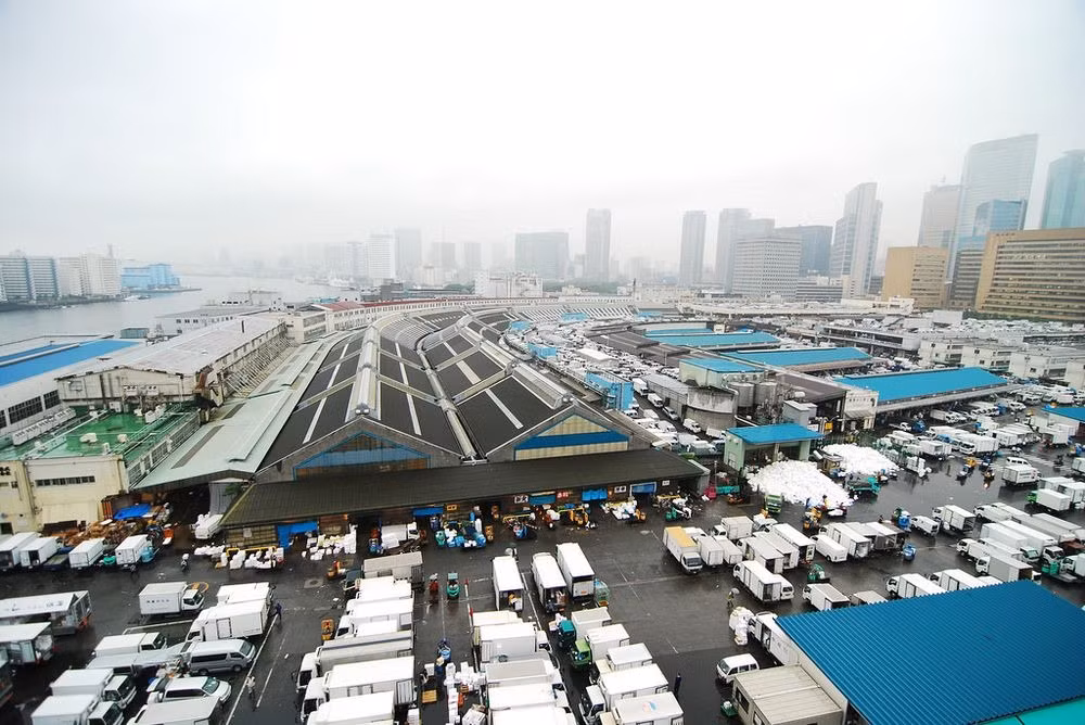  Chợ cá nổi tiếng của Nhật này là nơi cung cấp một số lượng lớn thủy, hải sản tươi sống ở Nhật Bản. Theo Lonely Planet, gần 2.500 tấn cá trị giá hơn 15,5 triệu USD được tiêu thụ hàng ngày tại đây.