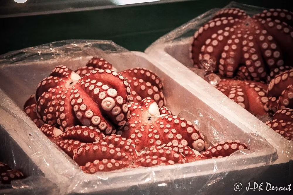 Ngoài khu bán buôn và khu đấu giá cá ngừ, chợ cá Tsukiji có nhiều cửa hàng ăn uống nổi tiếng với những món ăn ngon, bắt mắt khiến khách du lịch không thể chối từ.