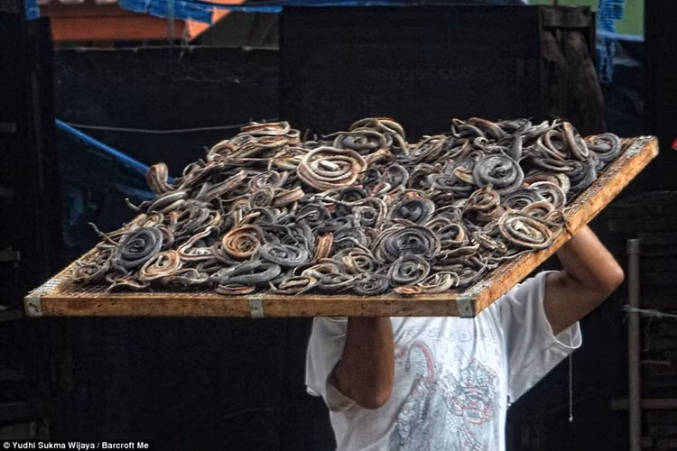 Sau khi lột da rắn, ngoài việc bán da để làm các sản phẩm được ưa chuộng như túi xách, giày dép, ví da... thì thịt rắn cũng được tận dụng làm những món ăn xa xỉ.