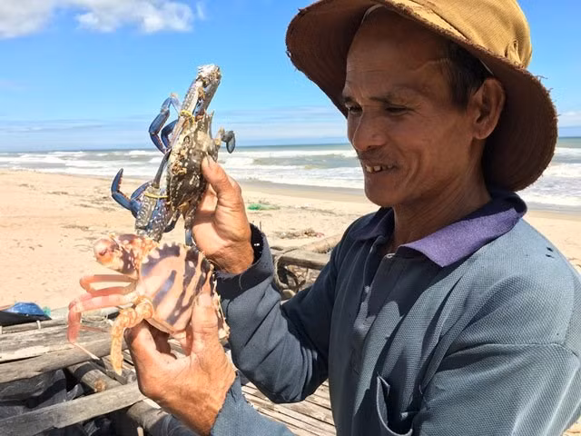 Trong số các nghề đánh bắt được ưa chuộng ở vùng biển, đánh bắt ghẹ là nghề mưu sinh của không ít ngư dân vùng ven biển Quảng Ngãi. Do đánh bắt gần bờ nên ngư dân dùng thuyền nhỏ, bắt đầu ra khơi từ 14 - 17h và trở về vào lúc 3h sáng.