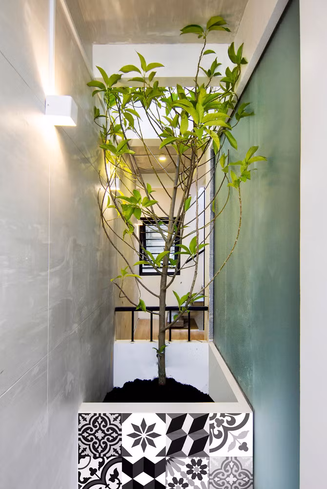 Cây xanh được trồng xen kẽ vào các không gian trống trong nhà.