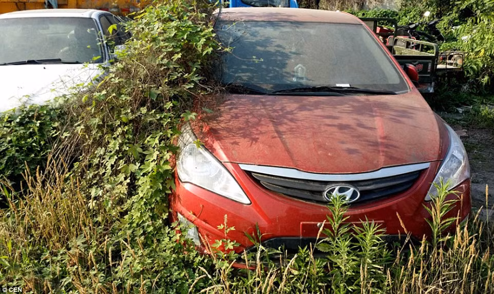 Những chiếc xe còn khá mới nhưng chúng đã bị bỏ rơi bởi chủ sở hữu và đang nằm phủ bụi ở bãi đậu xe ở Thành Đô, Trung Quốc.