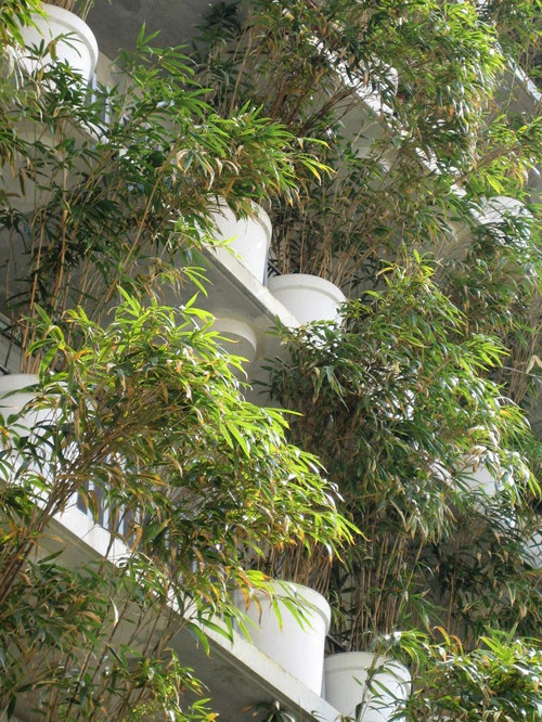 Kiến trúc sư Edouard Francois chính là người đưa ra ý tưởng bao phủ ba mặt của khu chung cư xanh Flower Tower bằng cây trúc.