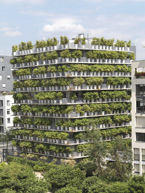 Một tòa nhà chung cư tại Paris (Pháp) gây ấn tượng với không gian ngập tràn màu xanh của trúc.