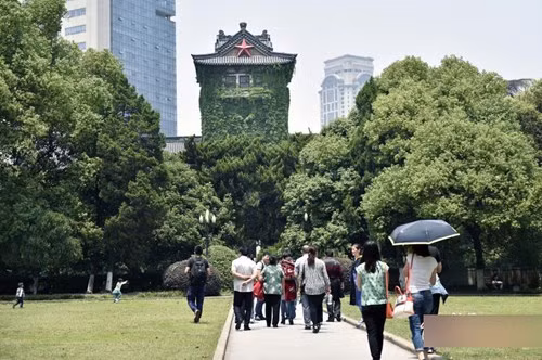 Nhiều tòa nhà trong trường đại học Nam Kinh được bao phủ bởi các loại cây cảnh, dây leo xanh tươi tạo nên khung cảnh mát mẻ vào mùa hè.