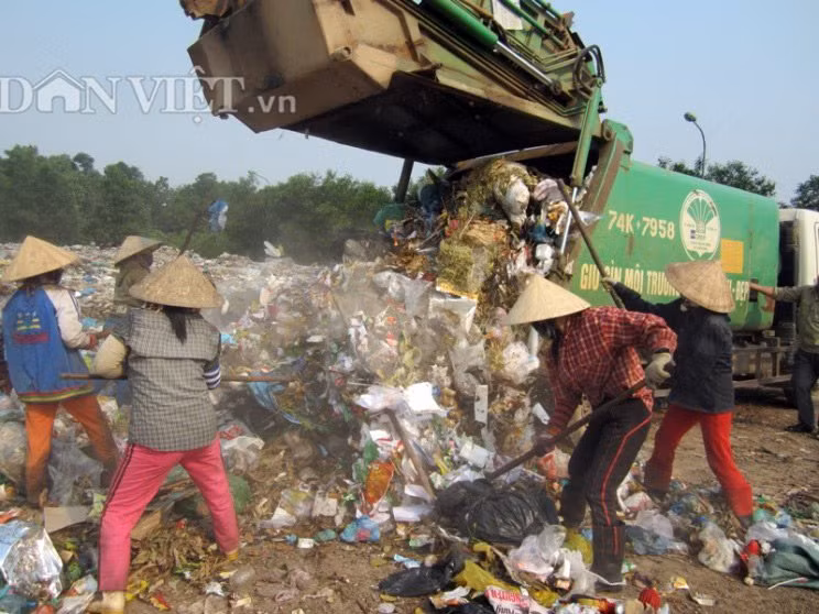 Phoi lung muu sinh tren bai rac hoi thoi giua troi 40 do C-Hinh-3