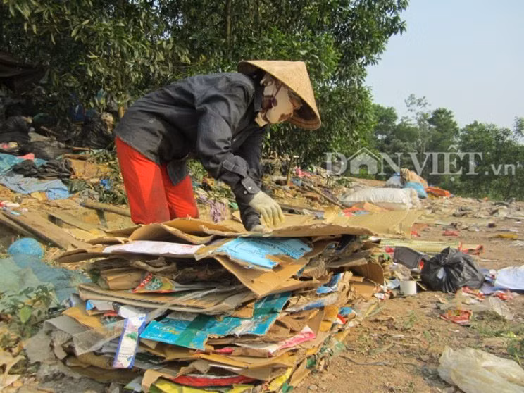 Phoi lung muu sinh tren bai rac hoi thoi giua troi 40 do C-Hinh-9