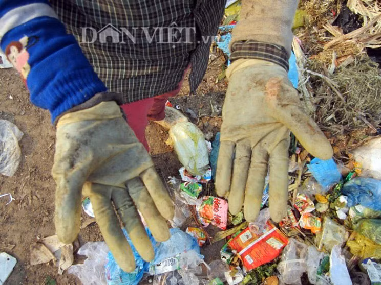 Phoi lung muu sinh tren bai rac hoi thoi giua troi 40 do C-Hinh-6