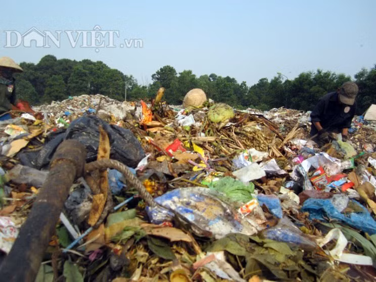 Phoi lung muu sinh tren bai rac hoi thoi giua troi 40 do C-Hinh-4