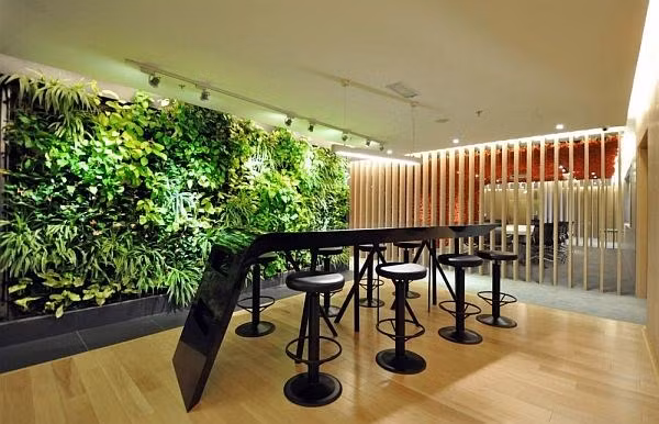 Nhà không gian chật chỉ cần có một mảng tường xanh ở ngoài sân, phòng khách.