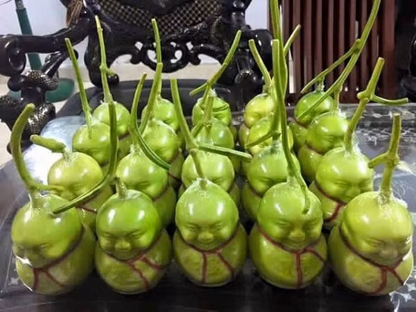 Dưa lê Thần Tài nặng khoảng 0,3kg, có màu xanh ngọc bích. Dưa có tên Thần Tài vì mang ý nghĩa cầu cho tiền tài được dồi dào, sung túc và may mắn.