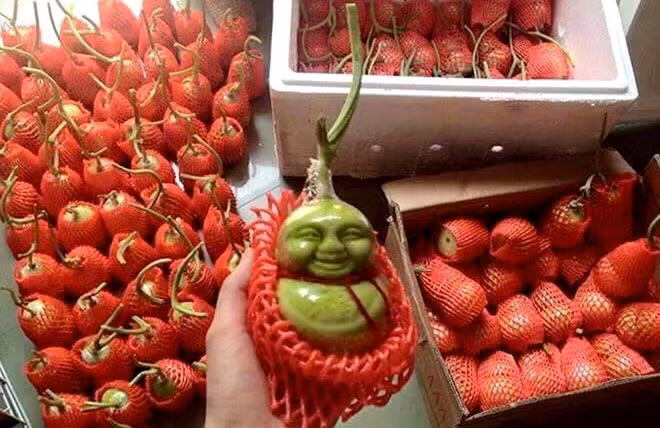 Trên các trang website bán hàng, Facebook, dưa lê thần tài được rao bán 50.000-65.000 đồng/quả.