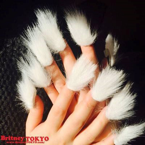 Lông trắng đặc biệt được ưa chuộng tại các nước Châu Ấu.