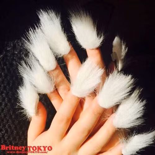 Lông trắng đặc biệt được ưa chuộng tại các nước Châu Ấu.