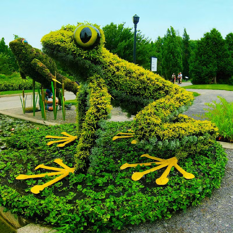 Chú ếch xanh thu hút người nhìn.